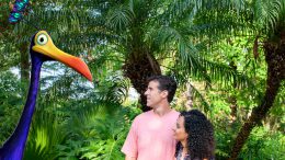 Top 10 Magic Shots at Disney’s Animal Kingdom