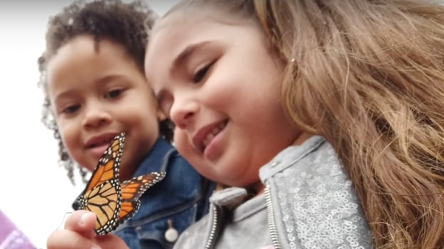 Epcot Flower & Garden Festival