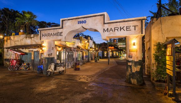 Harambe Market at Disney's Animal Kingdom