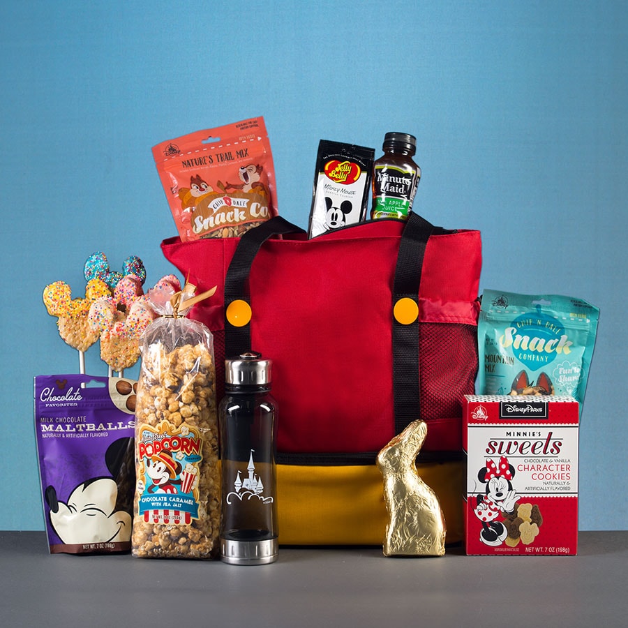 13 Best Disney Themed Gifts - Disney With Dave's Daughters  Disney gifts  for adults, Disney gift basket, Gifts for disney lovers