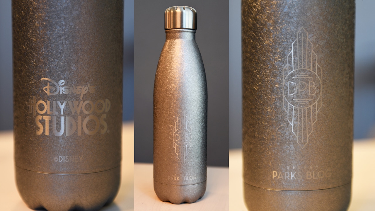 Disney Parks Stainless Steel Water Bottle