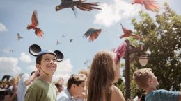 Party for the Planet at Disney's Animal Kingdom