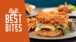 Disney Parks Best Bites: May 2019 - Spaghetti Burger from the Sand Bar Lounge at Disney’s Paradise Pier Hotel