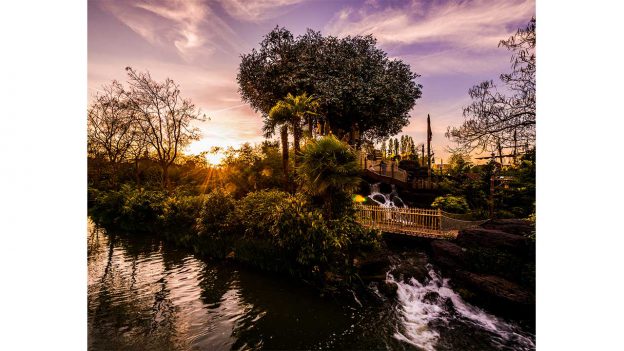 Disney Parks After Dark: La Cabane de Robinson
