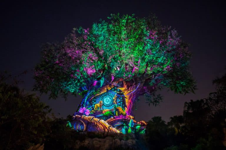 Experience ‘Rivers Of Light: We Are One’ And More New Magic Starting ...