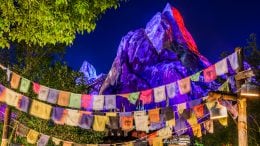 Expedition Everest at Disney's Animal Kingdom