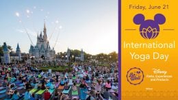 Friday, June 21, 2019: International Yoga Day
