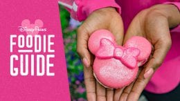 Foodie Guide to Imagination Pink at Disney Parks