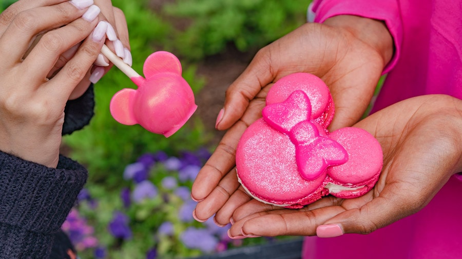 Imagination Pink Cake Pop and Macaron from Disneyland Resort