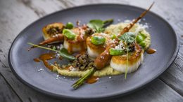 Scallops from Toledo – Tapas, Steak & Seafood