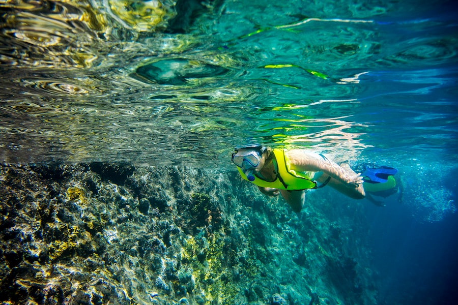 Guest snorkeling along a reef in the Caribbean