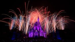 Fireworks at Walt Disney World Resort