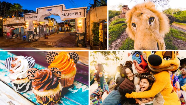 Circle of Flavors Harambe at Night at Disney’s Animal Kingdom Theme Park