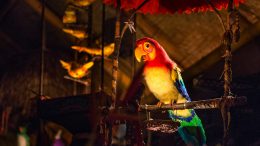 Walt Disney’s Enchanted Tiki Room