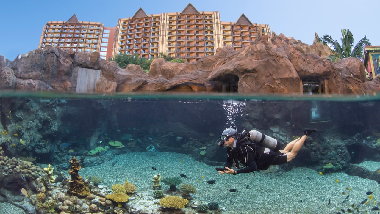 Introducing New Up Close Encounters at Rainbow Reef at Aulani Resort |  Disney Parks Blog
