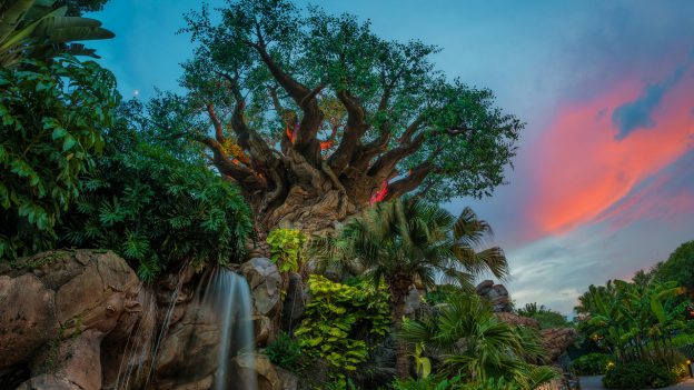 Tree Life at Disney's Animal Kingdom