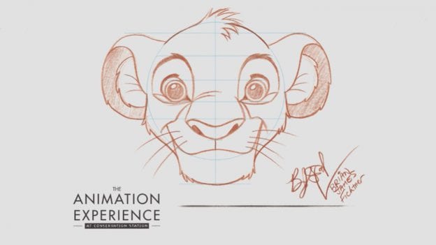 Learn To Draw Simba From The Lion King Disney Parks Blog