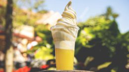 Dole Whip Float