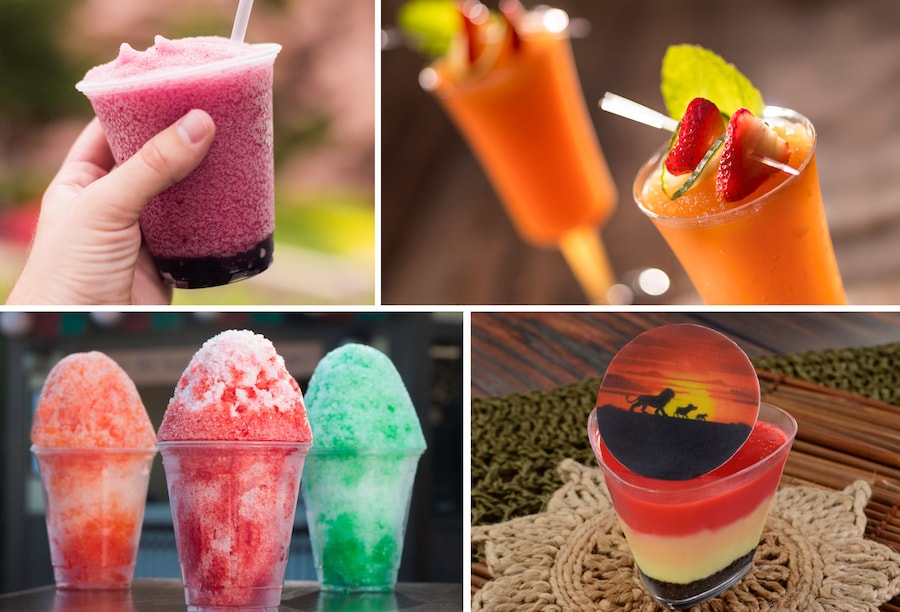 Various Cold Offerings from Epcot