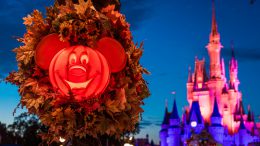 Fall decor at Magic Kingdom Park