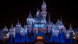 Sleeping Beauty’s Winter Castle