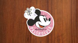 Minnie passholder magnet