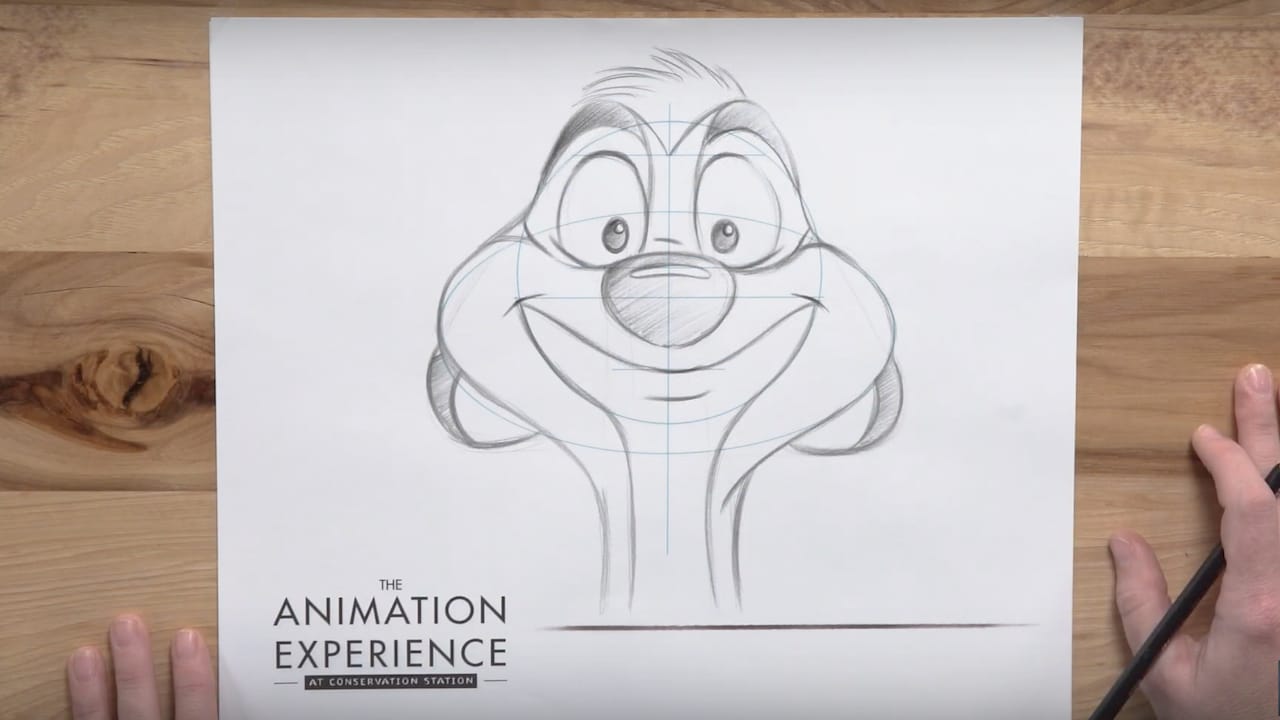Learn to Draw: Timon from 'The Lion King' | Disney Parks Blog