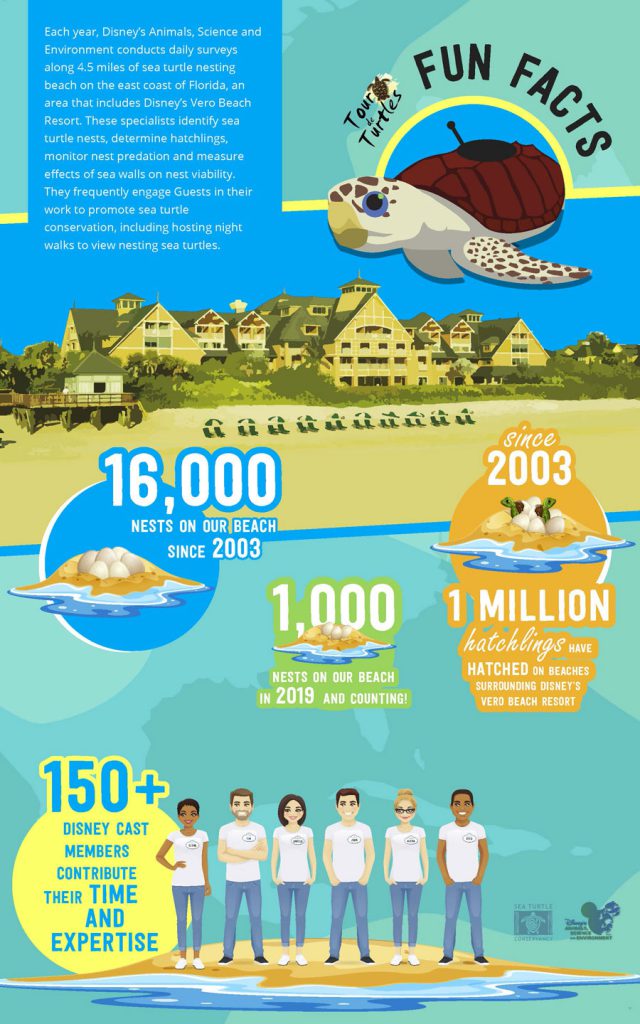12th Annual Tour de Turtles -  infographic