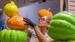 Artist working on the pumpkins that decorate Downtown Disney District at Disneyland Resort