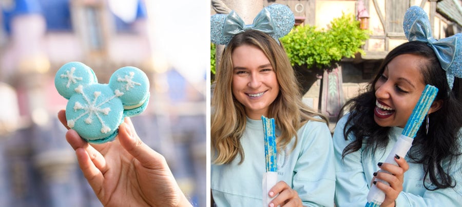 Arendelle Aqua Macaron and Churro at Disneyland Park