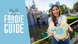 Foodie Guide to Arendelle Aqua at Disney Parks