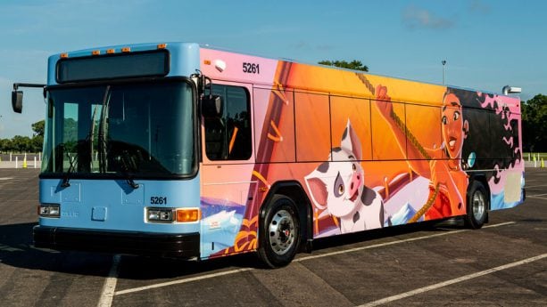 how long is the disney bus from magic kingdom to disney springs