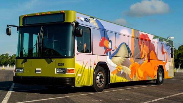 is there a direct bus from the magic kingdom to disney springs