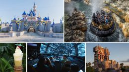 Staying Cool at the Disneyland Resort