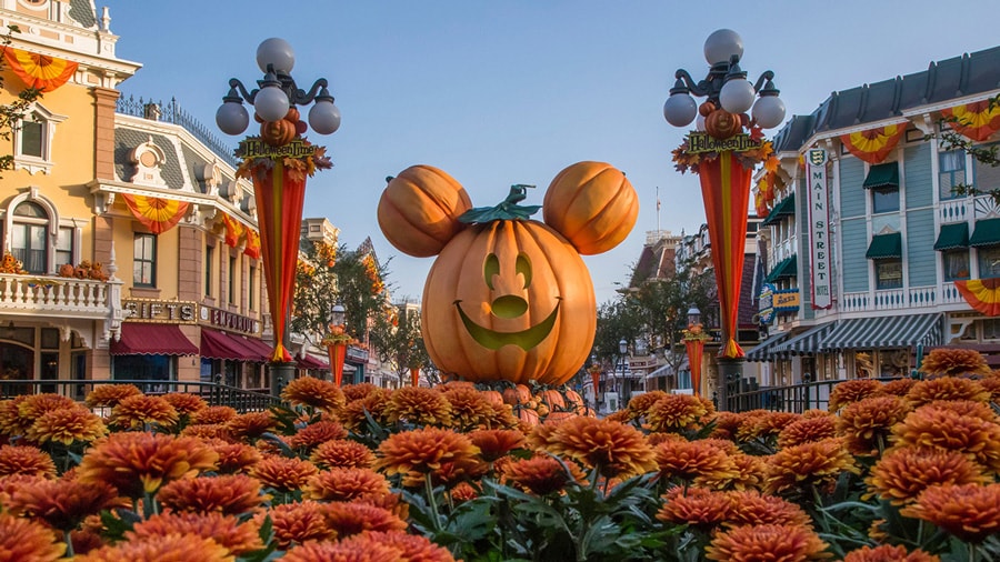 iconic Mickey-shaped pumpkin on Main Street, U.S.A. at Disneyland park