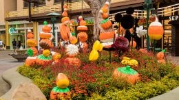 Halloween decor at the Downtown Disney District at Disneyland Resort