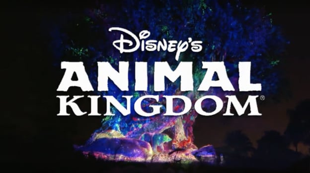 Awakening the Tree of Life for the Holidays at Disney’s Animal Kingdom