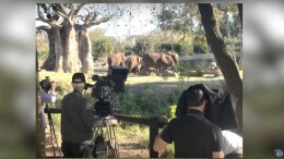 Filmmakers at Disney's Animal Kingdom