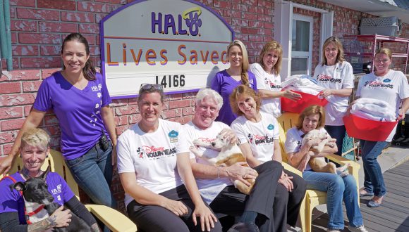 Disney Vacation Club Gives a Helping ‘Paw’ to Four-Legged Friends Impacted by Hurricane Dorian in The Bahamas