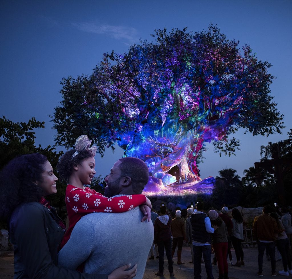 Tree of Life Awakening during the holidays at Disney's Animal Kingdom
