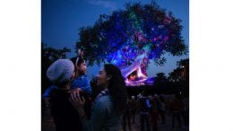 Holidays at Disney's Animal Kingdom