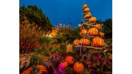 Pumpkins pile up at The Haunted Mansion at Tokyo Disneyland