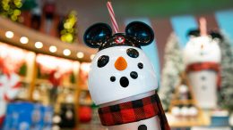 Snowman Tumbler
