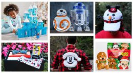Gift Guide: Disneyland Resort Wish List Items