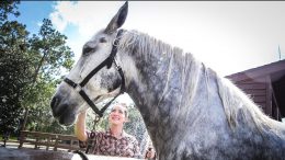 Wildlife Wednesday: The Heritage Continues