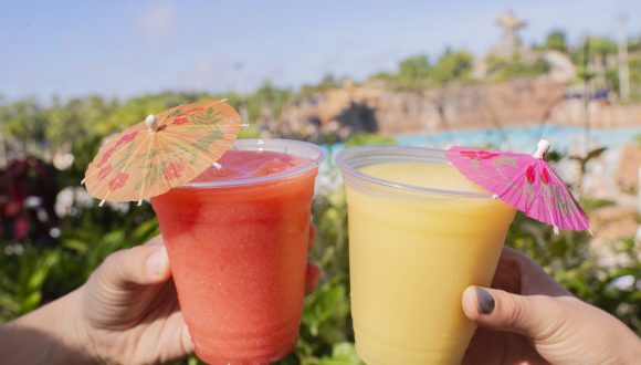 Drinks at Disney’s Typhoon Lagoon This Winter