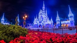 Holiday lights on Cinderella Castle