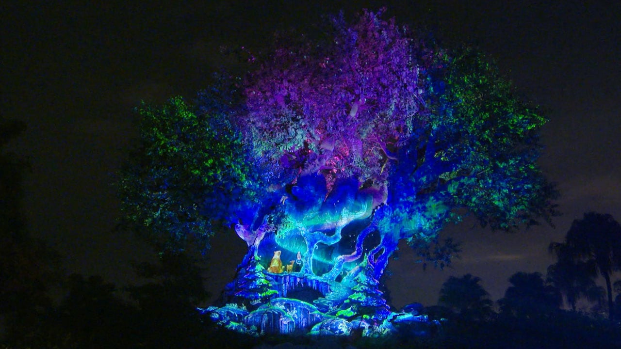 Take a First Look: Disney's Animal Kingdom's Tree of Life 'Awakens' For the  Holidays | Disney Parks Blog