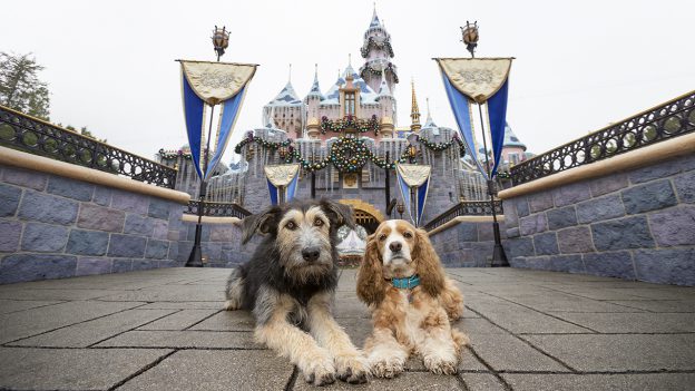 ‘Lady and the Tramp’ Stars at Disneyland Park
