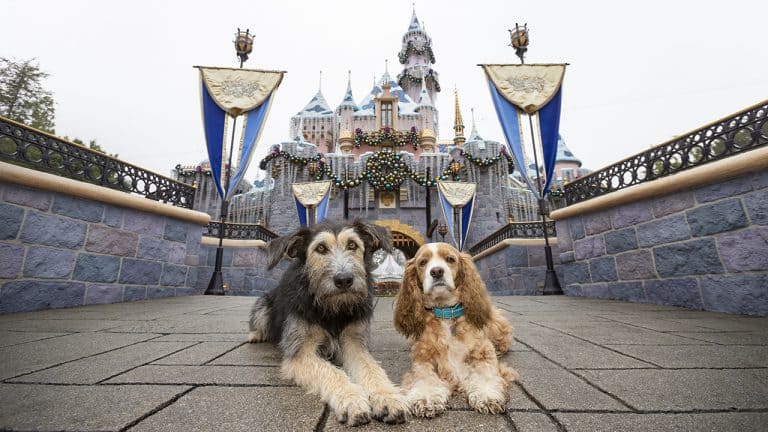 Lady And The Tramp Stars Celebrate Disney Film With A Tail Wagging   Weh4gkv163t8yih121 768x432 